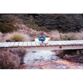 Standard track bridge: Tongariro National Park