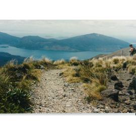Track to Ketetahi springs and hut: Tongariro National Park