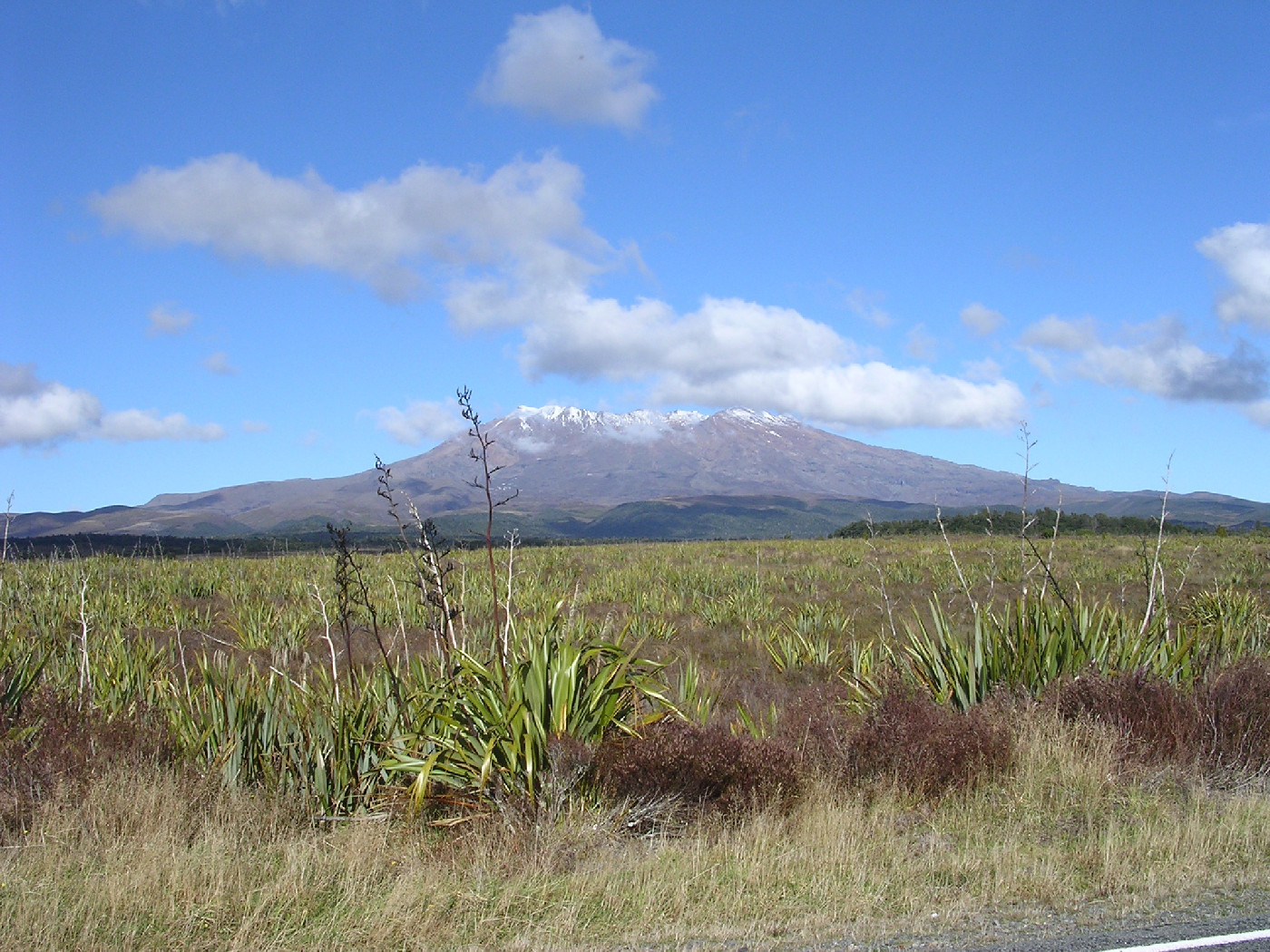 Tongariro National Park: Rangers Memoirs