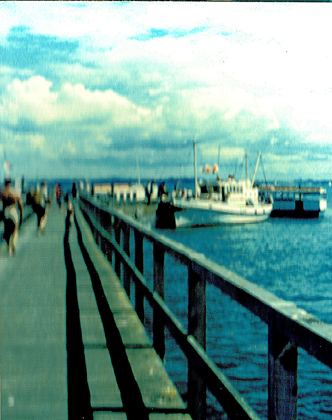 Hauraki Gulf Maritime Park: Rangers Memoirs