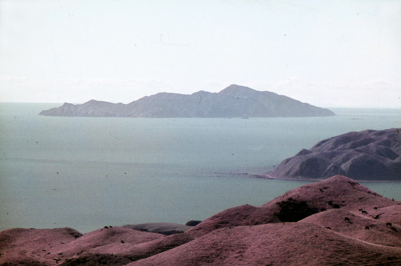 Kapiti Island Nature Reserve