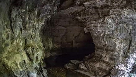 View of Natural Bridge from Lookout the Platform Ruakuri Bush Scenic Reserve
Credit: DoC