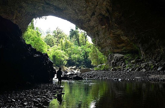 Ōpārara  Arch,  Ōpārara  Basin, Near Karamea Credit: DOC