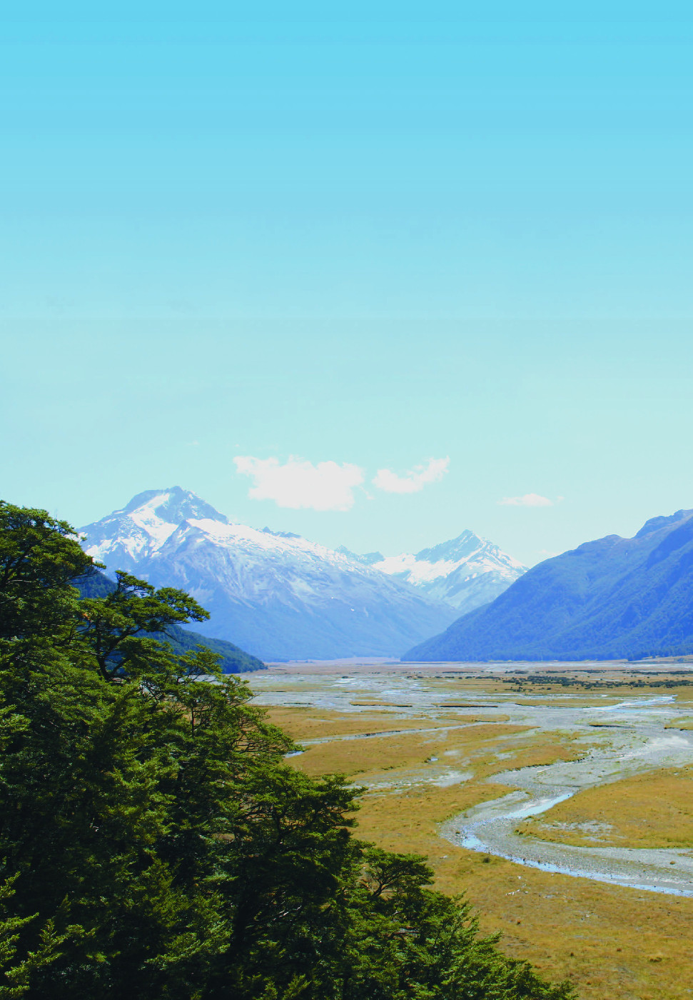 Management Plans and Park Resource Reports 