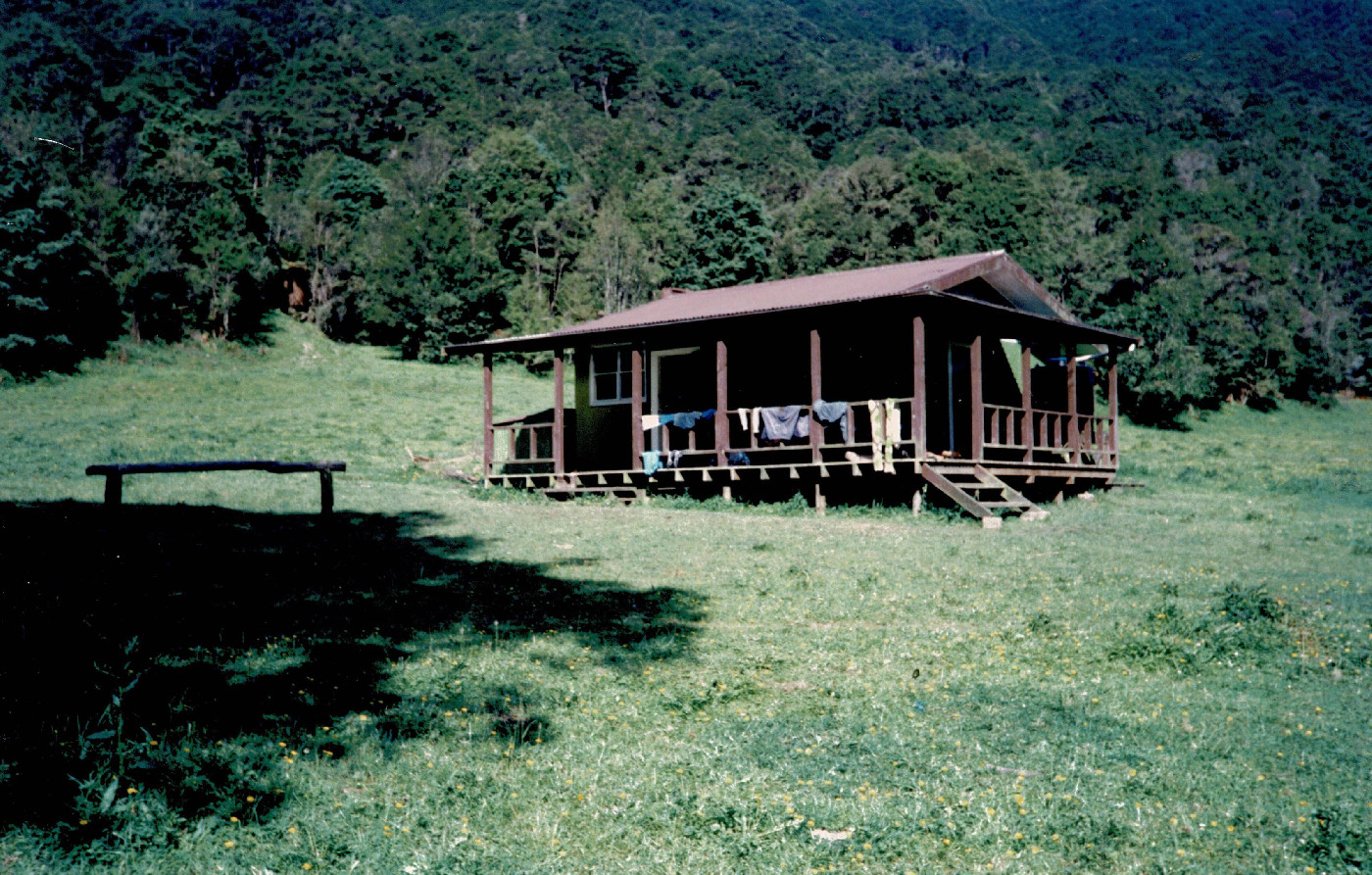 Tawhiwhi hut, Te Urewera National Park