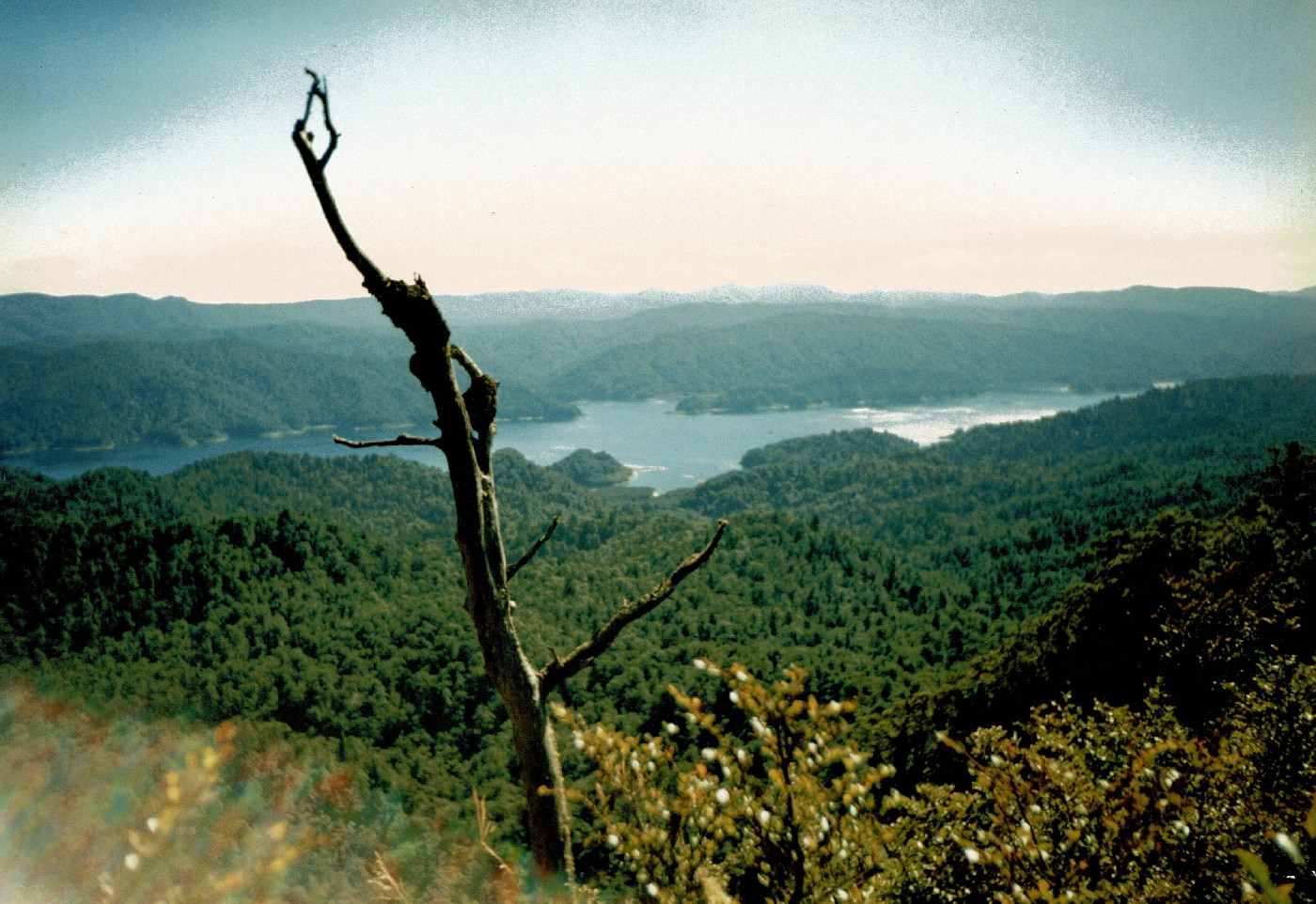Lake Waikaremoana