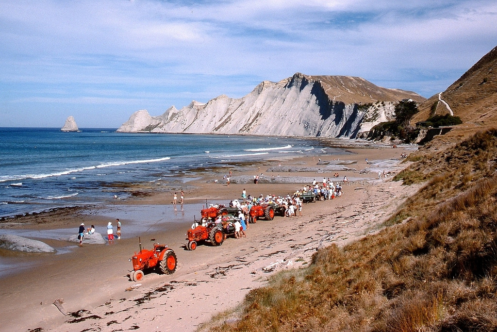 Cape Kidnappers Main Beach with Gannet Beach Safaris tractors, late 1980s. Photo Rob Greenaway