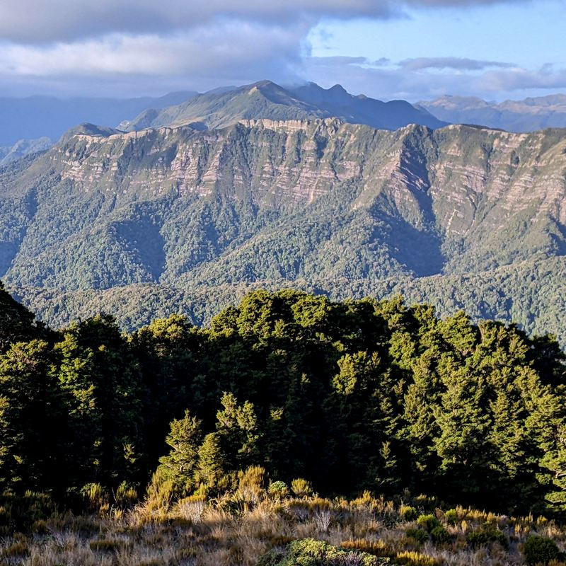 Paparoa National Park. Photo Rob Greenaway