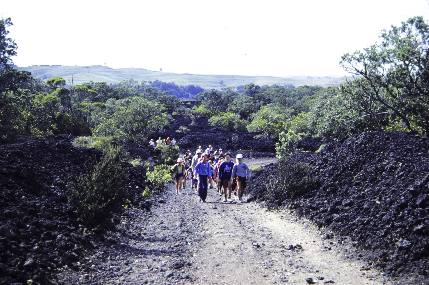 School group walking to the summit