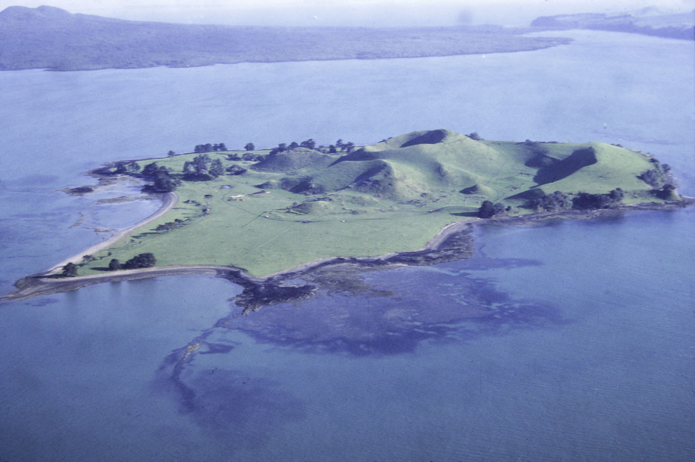 Brown's Island- Motukorea Recreation Reserve