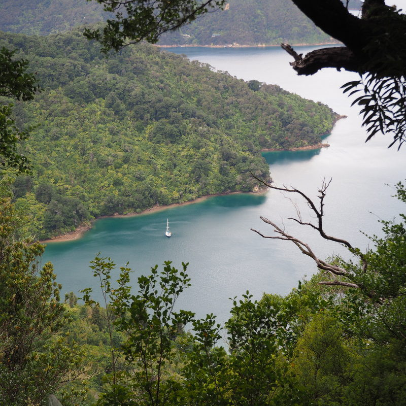 View from the Queen Charlotte Track. Photo Rob Greenaway