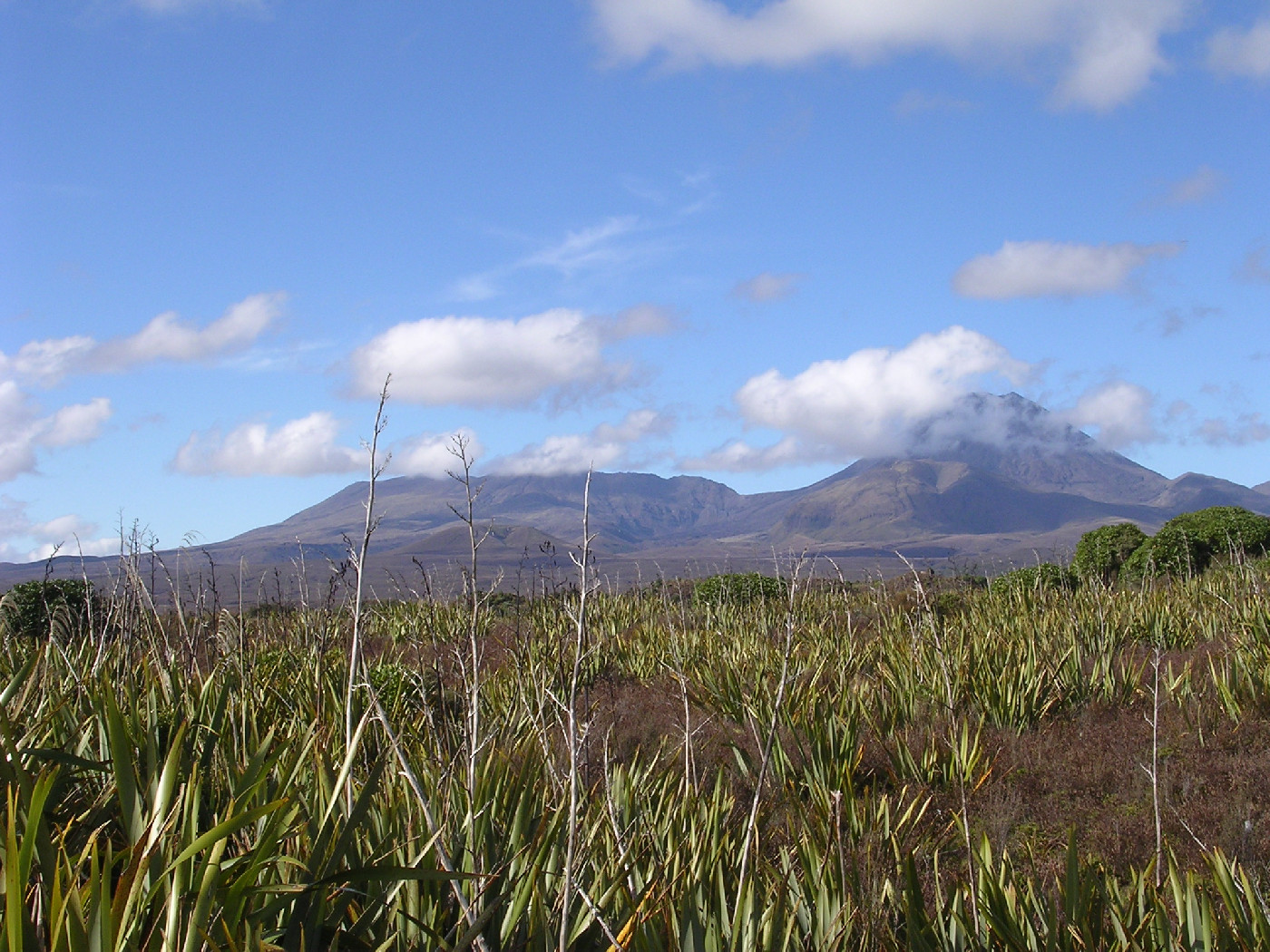 Mounts Tongariro (left) and Ngauruhoe (right)